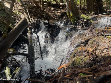 NNA Upper Manley Creek Rd 20 Acres, Laclede, ID 83841 - photo 7