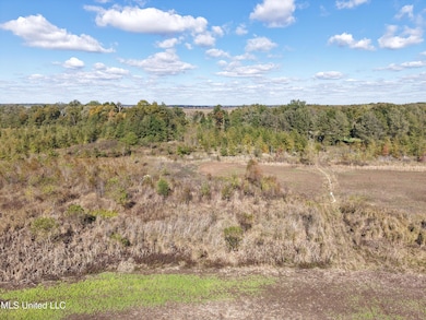 0 Walnut Lake Rd, Dundee, MS 38626 - photo 2