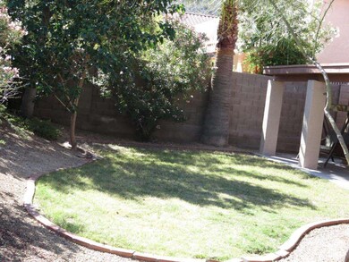 BACK YARD