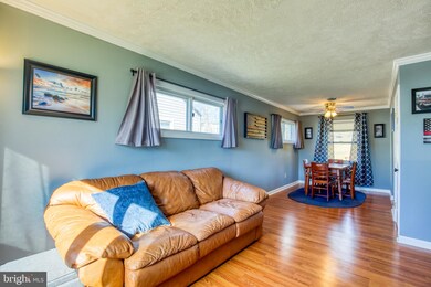 733 W 14th St, Front Royal, VA 22630 - photo 4