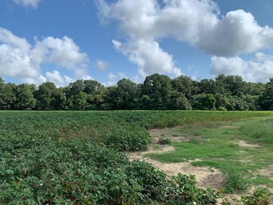 0 N Gordon St, Ashburn, GA 31714 - photo 4