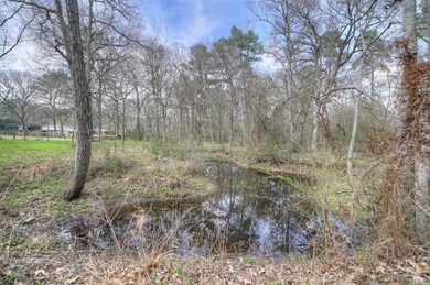 30806 Kate Dr, Magnolia, TX 77355 - photo 5