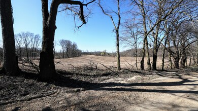 VL Hoffman Street Lot#wp001 St, Vandalia, MI 49095 - photo 7