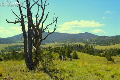 Mountain view with a heavily wooded area