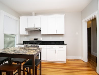 40 Roberts Rd unit 1, Cambridge, MA 02138 - photo 7