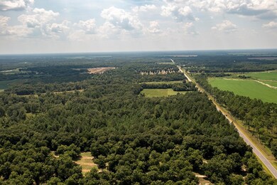 000 Shady Rd, Baconton, GA 31716 - photo 7