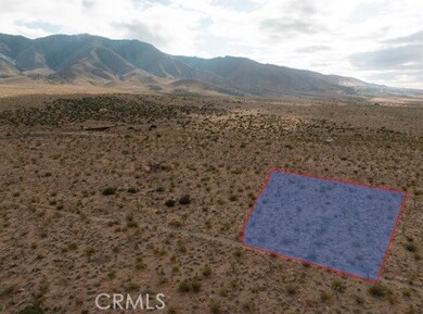 46 Powerline Rd, Lucerne Valley, CA 92356 - photo 2