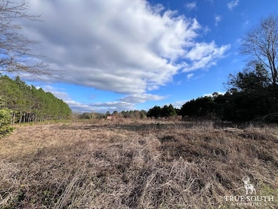 0 Hunters Rd unit 25764201, Sylvania, GA 30467 - photo 4