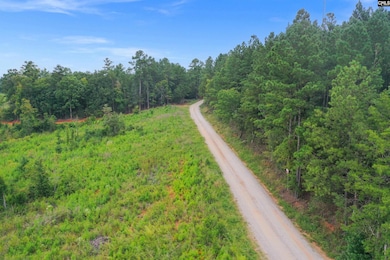 0000 S Carolina 215 unit 8, Jenkinsville, SC 29065 - photo 7