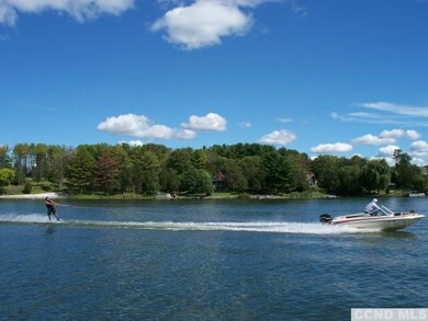 49 - L Debbie Dr, Athens, NY 12015 - photo 2