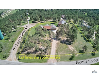 13504 Frontier Loop, Piedmont, SD 57769 - photo 4