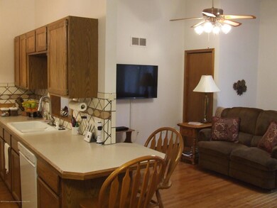 Kitchen/Living room