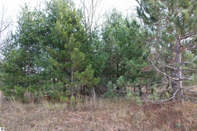 0 Indian Trail unit 1940617, Buckley, MI 49620 - photo 2