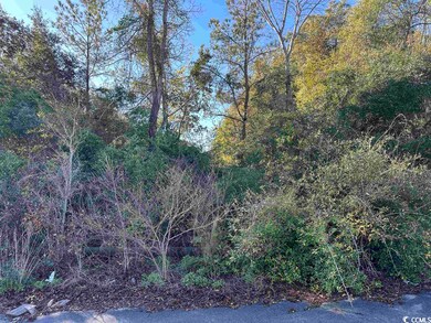 TBD Heller St unit TBD Scott ST., Kingstree, SC 29556 - photo 2