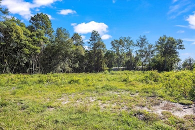 000 Walker Ave, New Ellenton, SC 29809 - photo 4