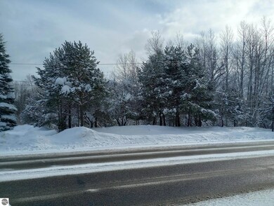 7191 Old 27, Vanderbilt, MI 49795 - photo 2