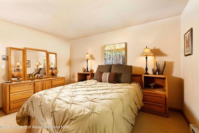1028 E Hopkins Ave unit 24, Aspen, CO 81611 - photo 7