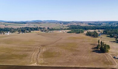 13111 E Gibbs Rd, Valleyford, WA 99023 - photo 3