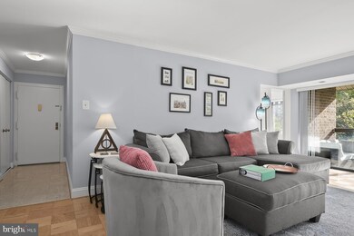 11419 Commonwealth Dr unit 301, Rockville, MD 20852 - photo 2