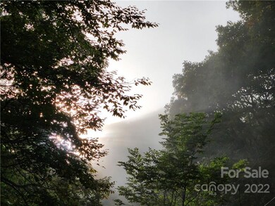 00 Spruce Patch Ln, Sylva, NC 28779 - photo 4