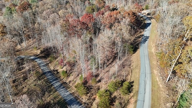 LOT 196 Springwinds Dr, Cleveland, GA 30528 - photo 4