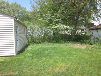 Blooming dogwood in backyard
