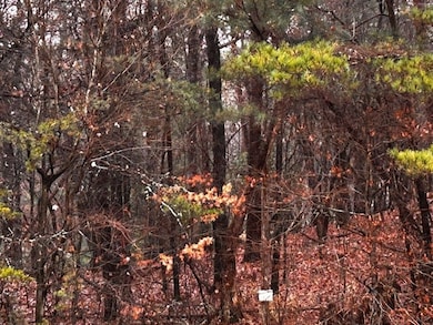 000 Talona Rd, Ellijay, GA 30540 - photo 4