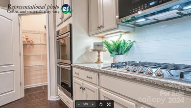 3022 Findley Rd unit BF6  175, Statesville, NC 28625 - photo 6