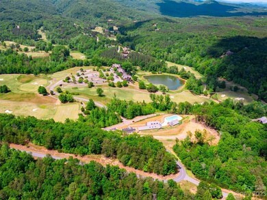 LOT 2012 Deep Gap Farm Rd E, Mill Spring, NC 28756 - photo 6