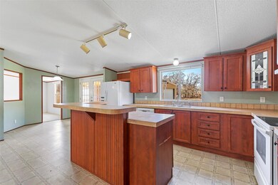 413 County Road 4869, Azle, TX 76020 - photo 6