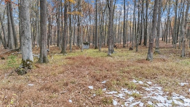 DJI_20251029111014_0126_D