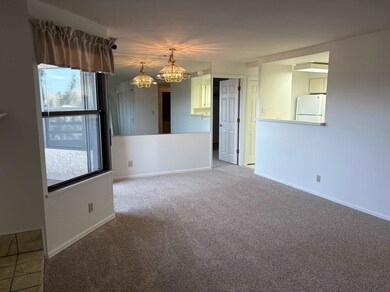 Horizon Towers unit 308, Grand Junction, CO 81506 - photo 5