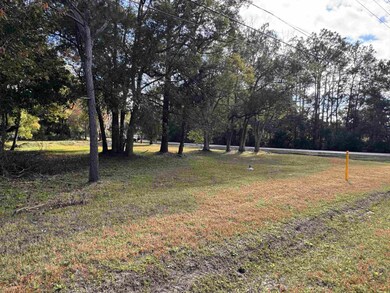 14520 N Main St, Jacksonville, FL 32218 - photo 6