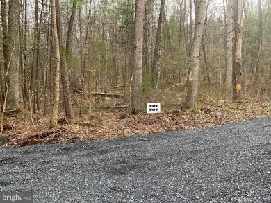 0 Millertown Rd unit VASH2002882, Edinburg, VA 22824 - photo 4