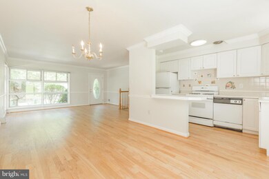 13116 Turkey Branch Pkwy, Rockville, MD 20853 - photo 5