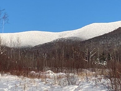 0 Lost Nation Rd unit 4754407, Groveton, NH 03582 - photo 3