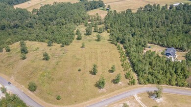 0 Cooks Pond Rd unit 219408, Windsor, SC 29856 - photo 5