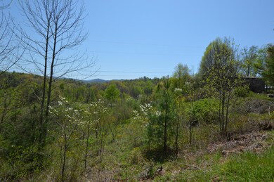 749 Piney03