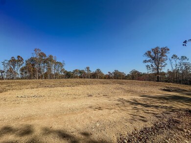 0 Fire Tower Rd, Centerville, TN 37033 - photo 7