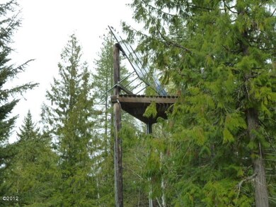 30179 Chintzey Ln, Bigfork, MT 59911 - photo 3