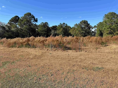 462 Olmstead Rd, Dozier, AL 36028 - photo 6