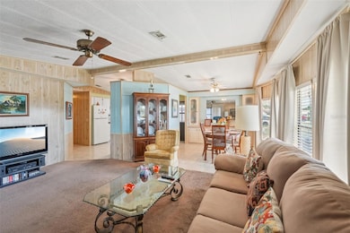 1317 Mohawk Cir, Tavares, FL 32778 - photo 6