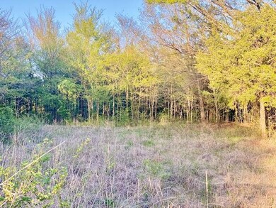 000 N Park Dr, Bonham, TX 75418 - photo 3