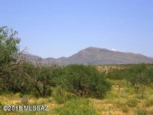 Looking to the northeast