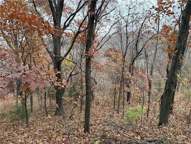 0 Dover Bluff, Waverly, MO 64096 - photo 5