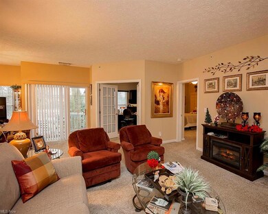 705 Aqua Marine Blvd, Avon Lake, OH 44012 - photo 5