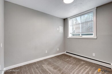 AVDP08 (100)
