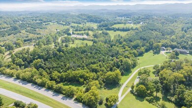 0 Roanoke Rd unit 913828, Troutville, VA 24175 - photo 5