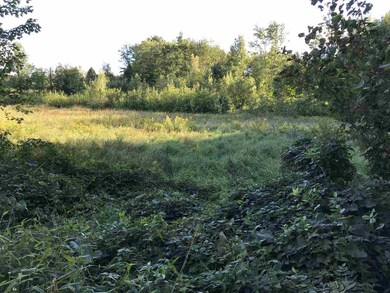 0 Allen Rd, Webster, NH 03303 - photo 2