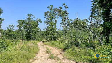 0 W Trace Creek Rd, Waverly, TN 37185 - photo 6